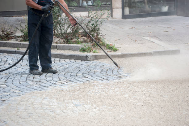 Best Roof Washing  in Lapel, IN