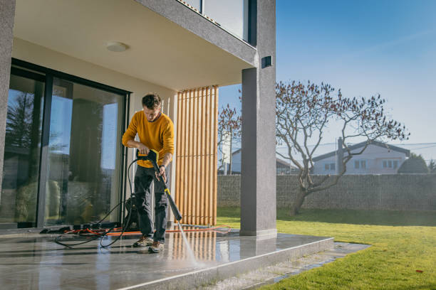 Best Roof Washing  in Lapel, IN